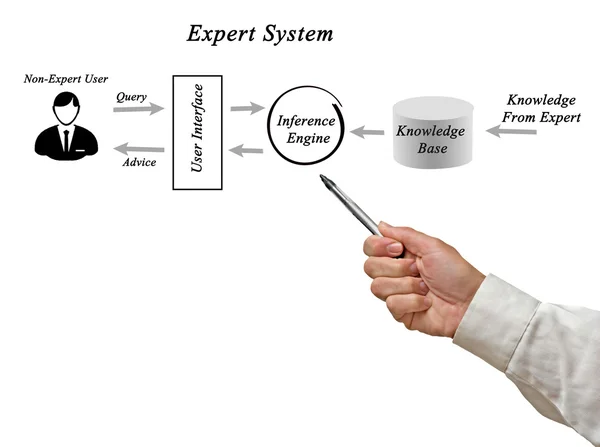 Schemat systemu ekspert — Zdjęcie stockowe